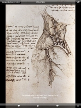sc_11_anatomy_drawing