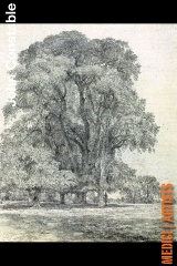 sc_6_constable_drawing